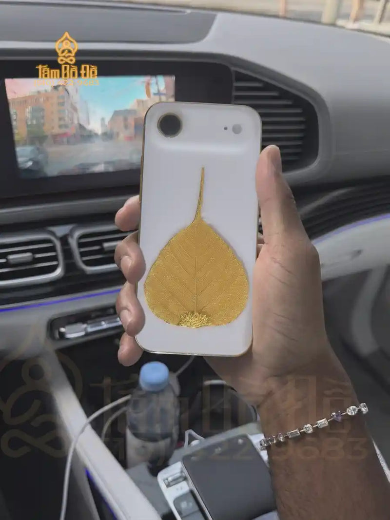 Andy Tran review